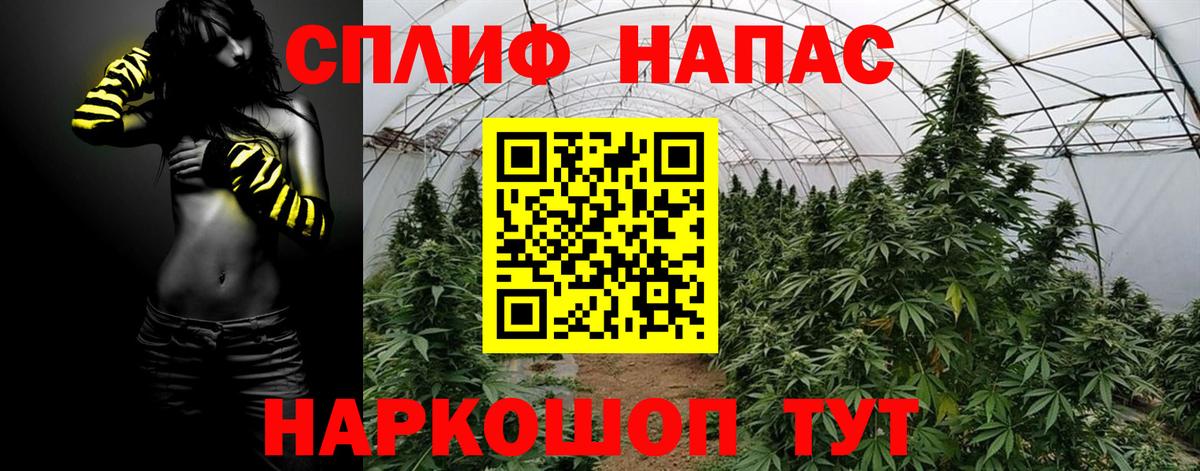 МАРИХУАНА конопля Новодвинск